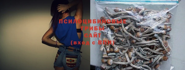 ГАЛЛЮЦИНОГЕННЫЕ ГРИБЫ Богородск