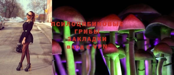 ГАЛЛЮЦИНОГЕННЫЕ ГРИБЫ Богородск