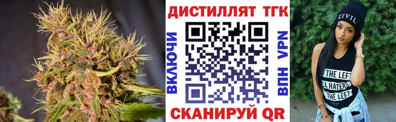 ТГК концентрат Купить закладки Жиздра