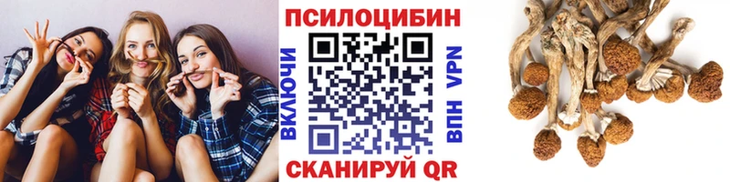Псилоцибиновые грибы Cubensis  Купить где  Жиздра 